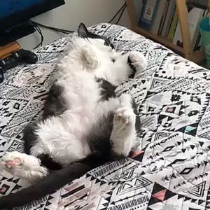 Meet your Posher, Christian